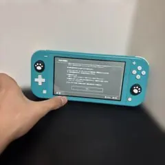 任天堂スイッチライトUSBメモリ付き 動作確認済み 1週間以内に発送