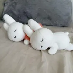 すやすやフレンド2個セット