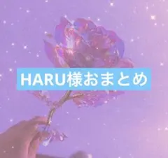 HARU様 リクエスト 2点 まとめ商品