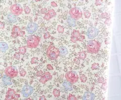 Item thumbnail for item b72fbf8d-8ca3-4139-b9b2-3e67a71757a3