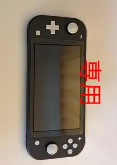 Nintendo Switch Lite グレー 本体のみ - メルカリ