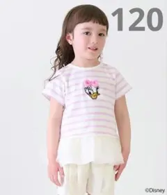 プティマイン　ディズニー　 フリル付きボーダー Tシャツ　デイジー　120cm