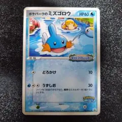 ポケパークのミズゴロウ ポケパークのアチャモ プロモ 2枚セット