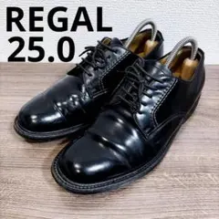 REGAL リーガル ビジネスシューズ 革靴 25cm 黒 プレーントゥ