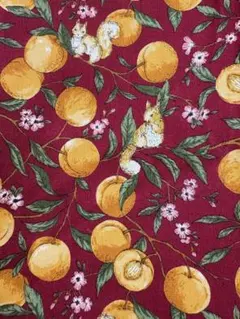 COSMOTEXTILE 果物とリス柄 生地 約100cm幅×100cm
