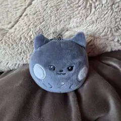 納豆しか勝たん様 リクエスト 2点 まとめ商品