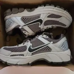 Item thumbnail for item b1f29c2a-75c6-42d1-9673-e1b04de40b78