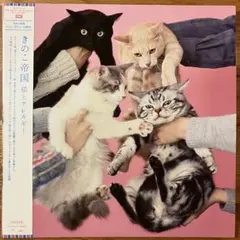 きのこ帝国 – 猫とアレルギー アナログレコード LP きのこ帝国 - 猫とアレルギー【2LP】【レコード】 – Staghorn Records