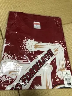 2017年チャンピオンTシャツ Sサイズ