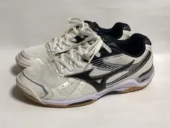 バレーシューズのWAVE STARDOM  RX2   です！ バレーシューズのWAVE STARDOM RX2 です！ Amazon | [ミズノ