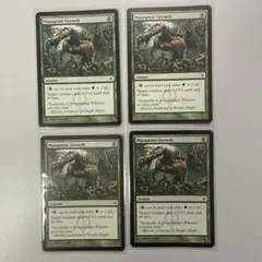 変異原性の成長/Mutagenic Growth　英語×４