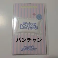 公式　Stray Kids　バンチャン　チケットセット　6th ペンミ