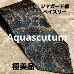 極美品 現行タグ 近年モデル アクアスキュータム スリーピーススーツ ペイズリー Aquascutum アクアスキュータム ペイズリー柄 ネクタイ 新品未使用