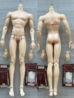 Dikadoll 1/4 46cm Boy Body (DS-8 75普4分) - メルカリ