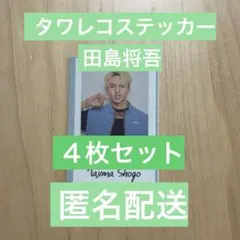 INI 写真集　タワレコステッカー　田島将吾