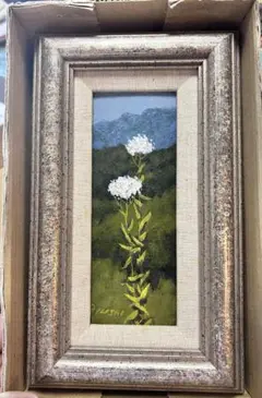 アソノコギリソウの夏の花　絵
