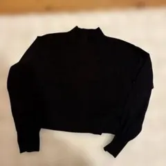 OPAQUE.CLIP ブラック ハイネックニットSサイズ キャミ付き