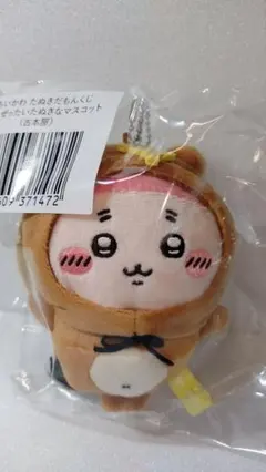 たぬきだもんくじ　古本屋　C賞