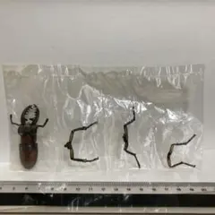 ウッシー様 リクエスト 8点 まとめ商品