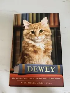 美品　洋書　DEWEY: The Small-Town Library Cat