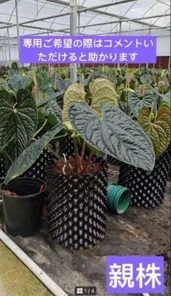 メカル様 リクエスト 2点 まとめ商品