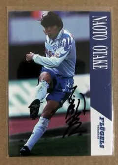 オレンジタヌキ様 リクエスト 2点 まとめ商品