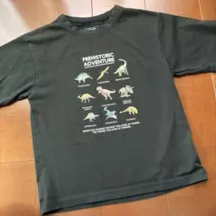 GLOBAL WORK 恐竜 Tシャツ ブラック 男の子
