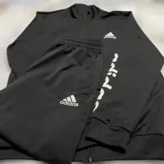 ジャージ上下 xl