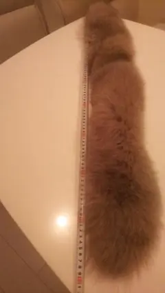 【美品】SAGA furs フォックスファー