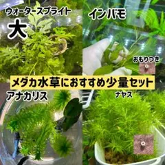 ルカリオ様 リクエスト 2点 まとめ商品