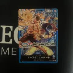 ワンピースカード エース＆ニューゲート リーダーパラレル ST22-001