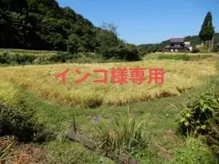 令和7年産　魚沼産コシヒカリ100%（精米）10kgのサムネイル