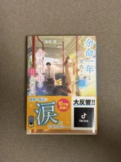 余命一年と宣告された僕が、余命半年の君と出会った話 森田碧