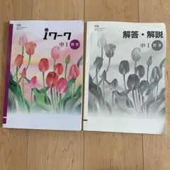 iワーク 中1 数学 解答・解説