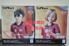 ハイキュー!! フィギュア 黒尾鉄朗 孤爪研磨 セット