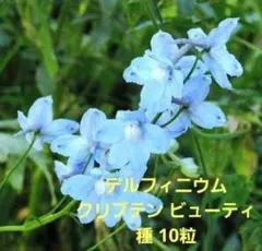 Sora様 リクエスト 3点 まとめ商品