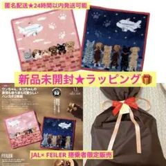 ラッピング【JAL機内販売限定】FEILERリトル スカイ　ハンカチセット