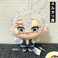 アニメ「鬼滅の刃」ぬいぷりけmini4 不死川 実弥　　プライズ　①