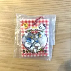 匿名配送 サンリオ　シャカシャカフレークシール風チャーム ハローキティ
