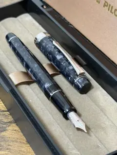 2026年最新】パイロット レガンスの人気アイテム - メルカリ