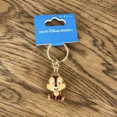 TOKYO DISNEY RESORT チップとデール キーホルダー