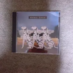 美品‼️Animal Logic CD