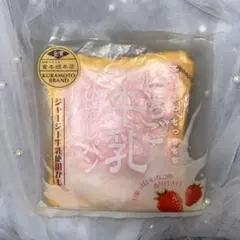 厚切り コーヒー牛乳ひたしパン iBLOOM スクイーズ - メルカリ