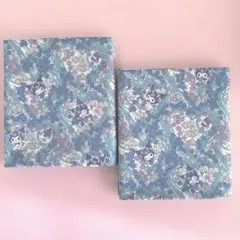 Item thumbnail for item 5b72bb18-0d77-4d6a-90b2-9e47eae041f6