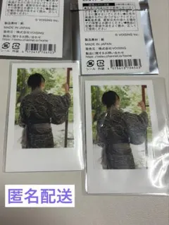 初兎　実写チェキ　2025 えびばでぃ　いれいす