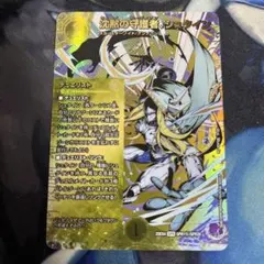 沈黙の守護者、シュタイン　シク　シークレット　㊙︎