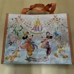 Item thumbnail for item af2f52fb-6076-43d5-8391-e1e61310b31a