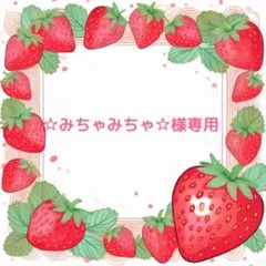 ☆みちゃみちゃ☆様専用ページ