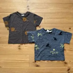 ◎みなお様　Ｔシャツ3点おまとめ