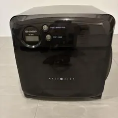 Item thumbnail for item 301b5afc-500c-410a-9c80-69e5a7b6bdb7